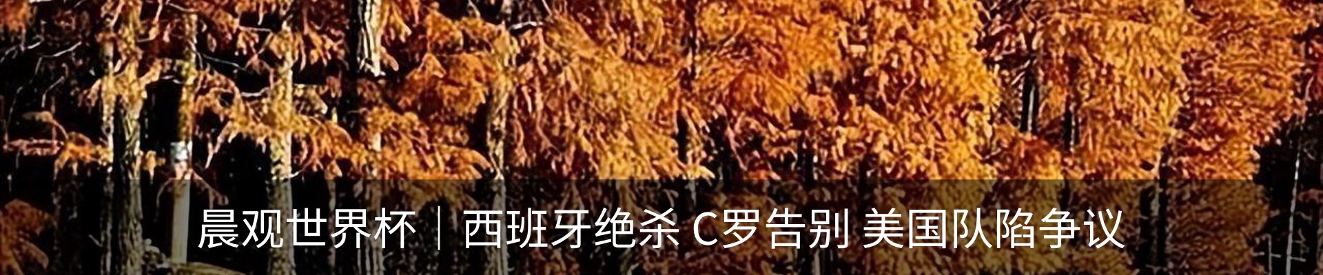新闻动态
